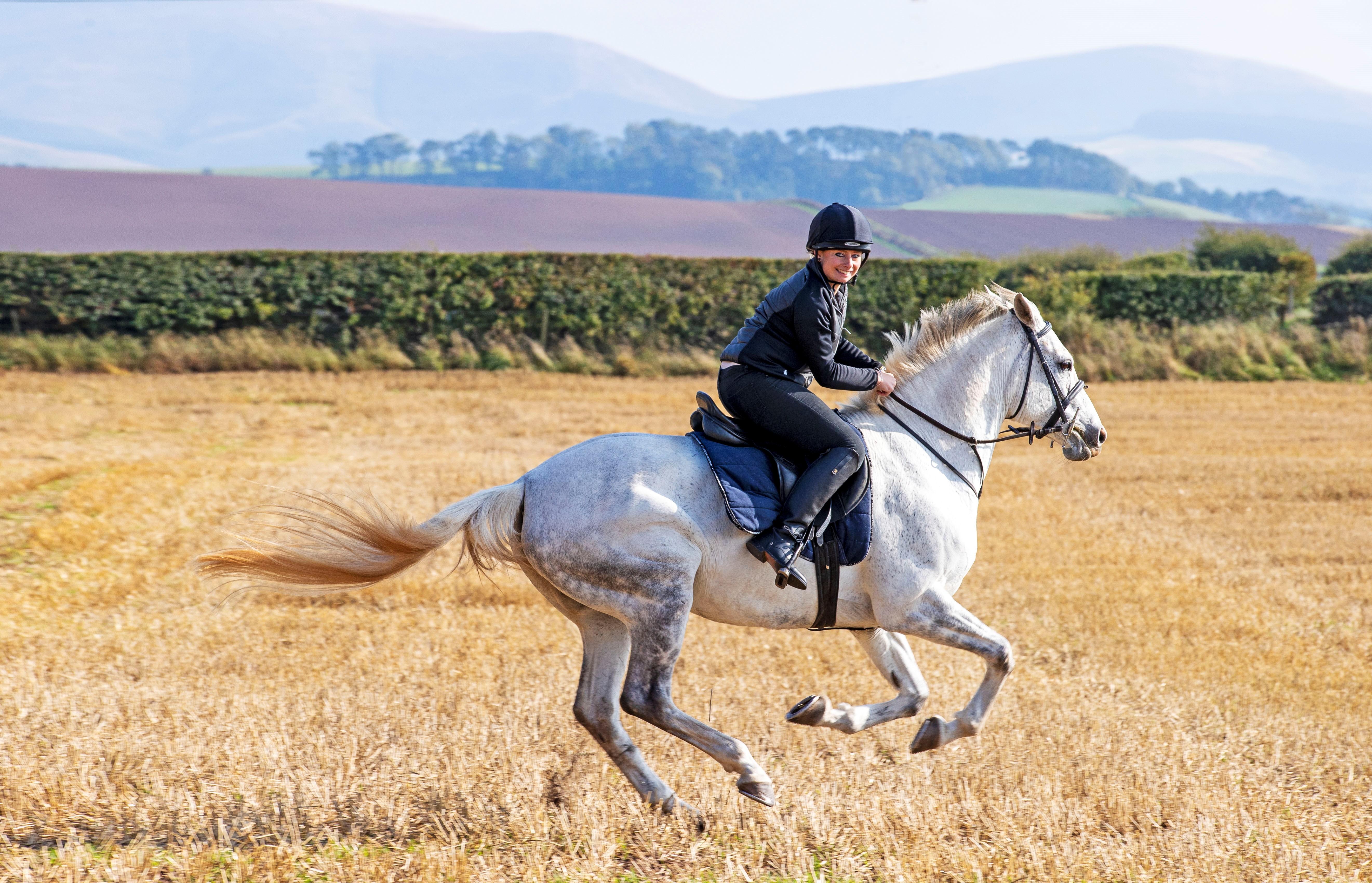 Schloss Roxburghe, Part Of Destination By Hyatt Екстер'єр фото A rider on a purebred Spanish horse
